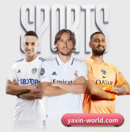 亚新体育 APP（yaxin）