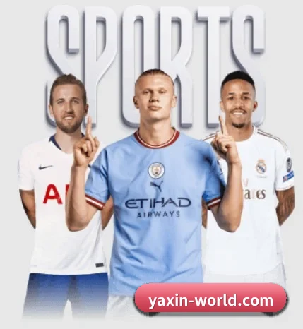 五大服务分区,信息按项目分类 - 多运动项目内容板块（yaxin）